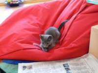 ein Bild aus dem Album